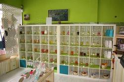 Horario de apertura Tienda Fandango, Móstoles