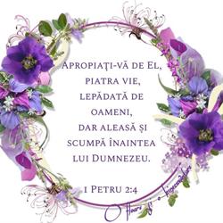Horario de apertura Biserica Metanoia Salamanca,