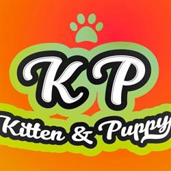 Horario de apertura Kitten & Puppy, Sabadell