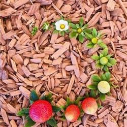 Frutas y Verduras Mari en Valencia (Jesús) - Horario de apertura
