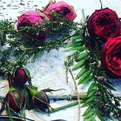 Horario de apertura Te prometo un jardín de rosas, A Coruña
