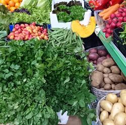 Horario de apertura Bona Línea, Alimentación y Frutería, L'Hospitalet de Llobregat