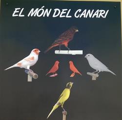 Horario de apertura El Mon del Canari, Oliva