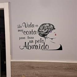 Horario de apertura Peluqueria Destellos Unisex, Gijón