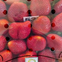 Horario de apertura Frutas y Verduras Victoria, Sabadell