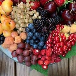 Frutas Y Verduras Fresco Y Natural en Granada (Ronda) - Horario de apertura