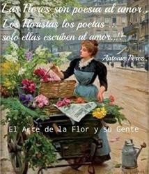 Horario de apertura Garden Jareño Floristas, Villarrobledo