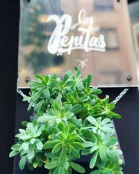 Las Pepitas Peluquería en Bilbao (Abando) - Horario de apertura