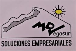 Horario de apertura MDV Vegasur Soluciones Empresariales, La Zubia