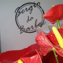 Horario de apertura Sergio Da Barber, Murcia