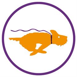 Horario de apertura Centro Veterinario Clar de Alba, Almansa