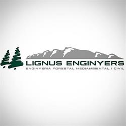 Horario de apertura Lignus Enginyers, SCP, Montferrer