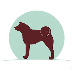 Horario de apertura Clínica Veterinaria Hachiko, Ceuta