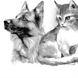 Peluquería Canina Sara Escudero en Gijón (Oeste) - Horario de apertura