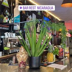 Horario de apertura Bar Rest Nicaragua, Palma de Mallorca