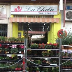 Horario de apertura Floristería La Chela, La Zubia