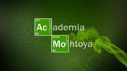 Horario de apertura Academia Montoya, Almería