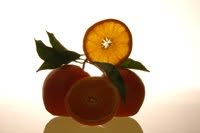 Horario de apertura NARANJAS expresnaranjas, Corbera