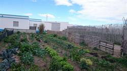 Horario de apertura Huerta Serendipia, Almería