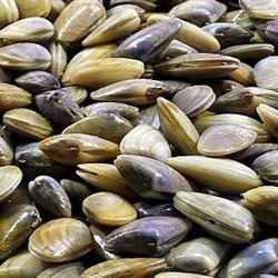 Horario de apertura La Peixateria D Argentona,