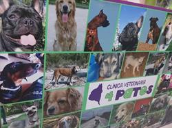 Clinica Veterinaria 4Pates en Valencia (Poblats Marítims) - Horario de apertura