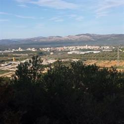 Horario de apertura La Casa dels Arbres, Sant Mateu