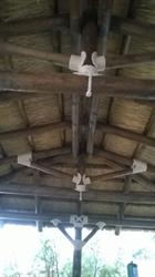 Horario de apertura Ubripergola, Ubrique