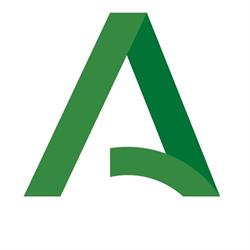 Instituto Andaluz del Flamenco en Sevilla (Casco Antiguo) - Horario de apertura
