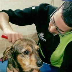 Horario de apertura SalaMascotas Peluquería Canina, Salamanca