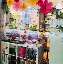 Horario de apertura Peluqueria X los Pelos, Vitoria-Gasteiz