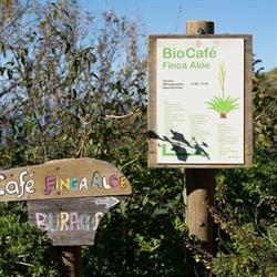 Horario de apertura Bio Café Finca Aloe, Santa Cruz de la Palma
