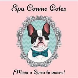 Horario de apertura PELUQUERIA SPA CANINO GALES, Jerez de la Frontera
