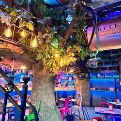 El Arbol en Bilbao (Otxarkoaga-Txurdinaga) - Horario de apertura