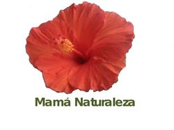 Mamá Naturaleza en Madrid (Salamanca) - Horario de apertura