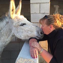 Horario de apertura Andrea’s animal rescue and the Henrietta Foundation charity shop Mazarron, 