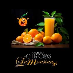 Horario de apertura Cítricos La Monsina S L, Callosa de Segura
