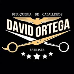 Horario de apertura Peluqueria de Caballeros David Ortega, Maracena