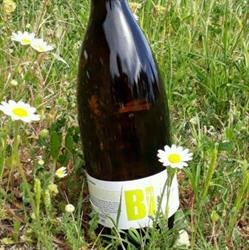 Horario de apertura Bodega Vinya Natura, Castellón de la Plana