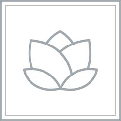 Horario de apertura YSER Healthy Beauty Institute, Valencia