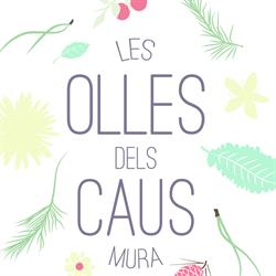 Horario de apertura Les Olles dels Caus, Mura