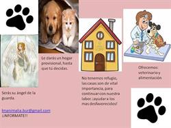 Horario de apertura Centre veterinari Nules,
