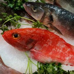 Horario de apertura Pescados Y Mariscos Puri Vara, Vitoria-Gasteiz