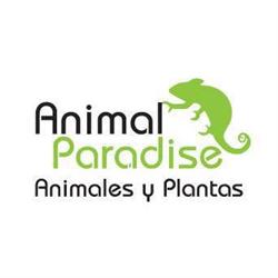 Horario de apertura Animal Paradise, Logroño