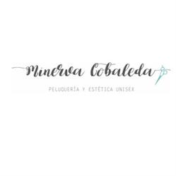 Horario de apertura Minerva Cobaleda, Jaén
