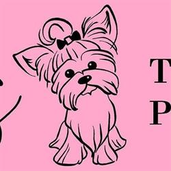 Horario de apertura Peluditos peluquería canina, Andoain