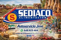 Horario de apertura SEDIACO Moraleja Jose, 