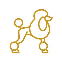 TopKnot-Centro Estético Canino en Madrid (Chamberí) - Horario de apertura