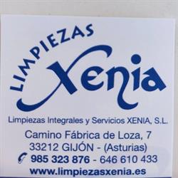 Horario de apertura Limpiezas Integrales y Servicios Xenia, S.L., Gijón