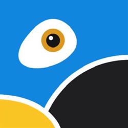 Horario de apertura Blue Parrot School Madrid, 