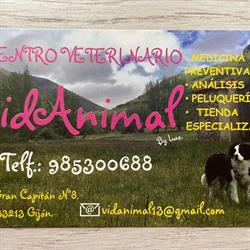 Centro Veterinario Vidanimal By Lua. en Gijón (Oeste) - Horario de apertura